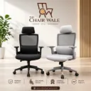 TCW orthofit_ cushion lumbar support_ 3d handle_ Ergonomic mesh chair